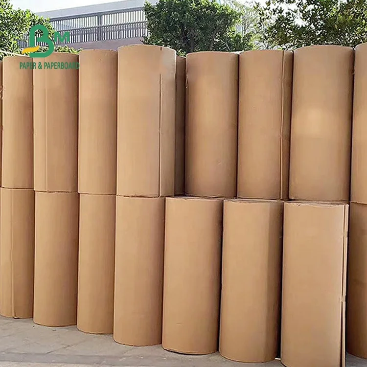  Corrugated Board (9).jpg