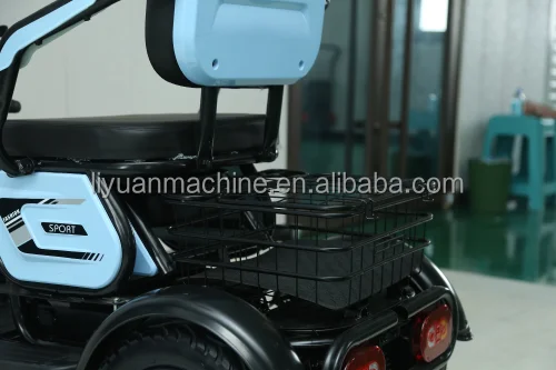 Y3-XK Electric Vehicle Electric Tricycles Cargo Tricycle Electric 3 Wheel Electric Scooter 48V Eec E Trike 3 Wheel Adults Open