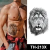 TH-213X