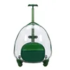 Style 1 Green and Transparent