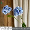 2-headed round hydrangea Y, dark blue