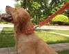 reflective orange