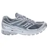 Grey/Silver