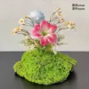 พัดลมดอกแดนดิไลอันสีฟ้าอ่อนดอกอะมาริลลิสสีแดงกุหลาบ