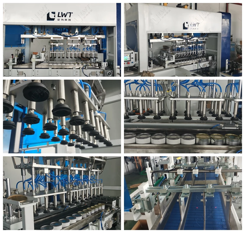 High Speed Automatic Carton Case Packer Packing Machine for Pet Bottle Can