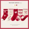 Chaussettes femme Ks-1016, motif lapin de jardin.