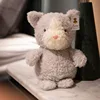 Gray cat