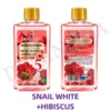 SNAIL WHITE + HIBISCUS