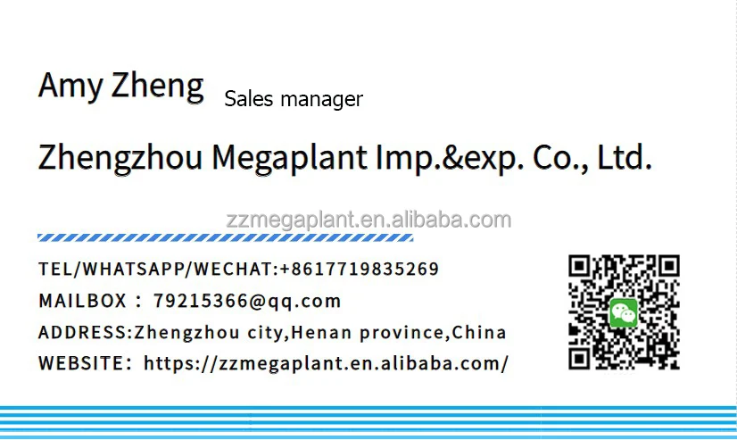 MINGP.jpg
