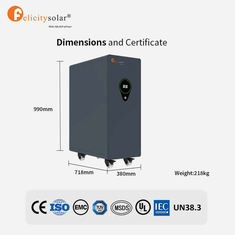 51.2V Lithium Battery Manufacturing 48v Lithium Ion Battery Pack Battery and Solar