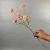 Rosa oscuro