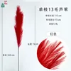 Single 13-haired reed, red