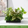 A40-2 35*25 cm flower boxes.