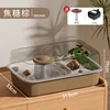 Caramel Brown Hermit Crab (for pets) comes with a free fountain pump.