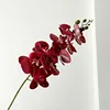 09-rojo