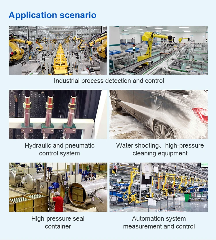 Fst Hp Type Cng Strain Gauge High Pressure Transmitter