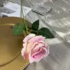 Long-stemmed rose