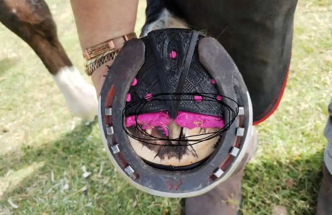 25 Shore A Fast Curing Silicone Impression Material Horse Hoof Treatment Silicone Moulding Putty