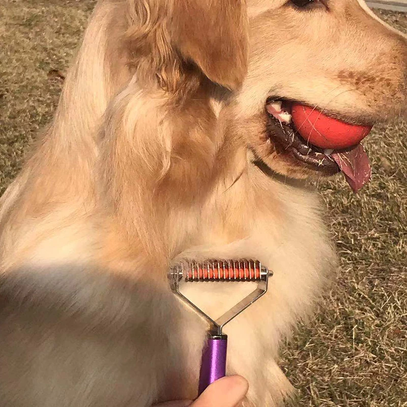 dog grooming deshedding