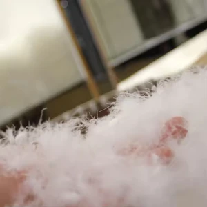 Duck Down Washed White Duck/goose Feather Wholesale Hotel Personalized Pillow Filling Material Washed Goose Feather Down