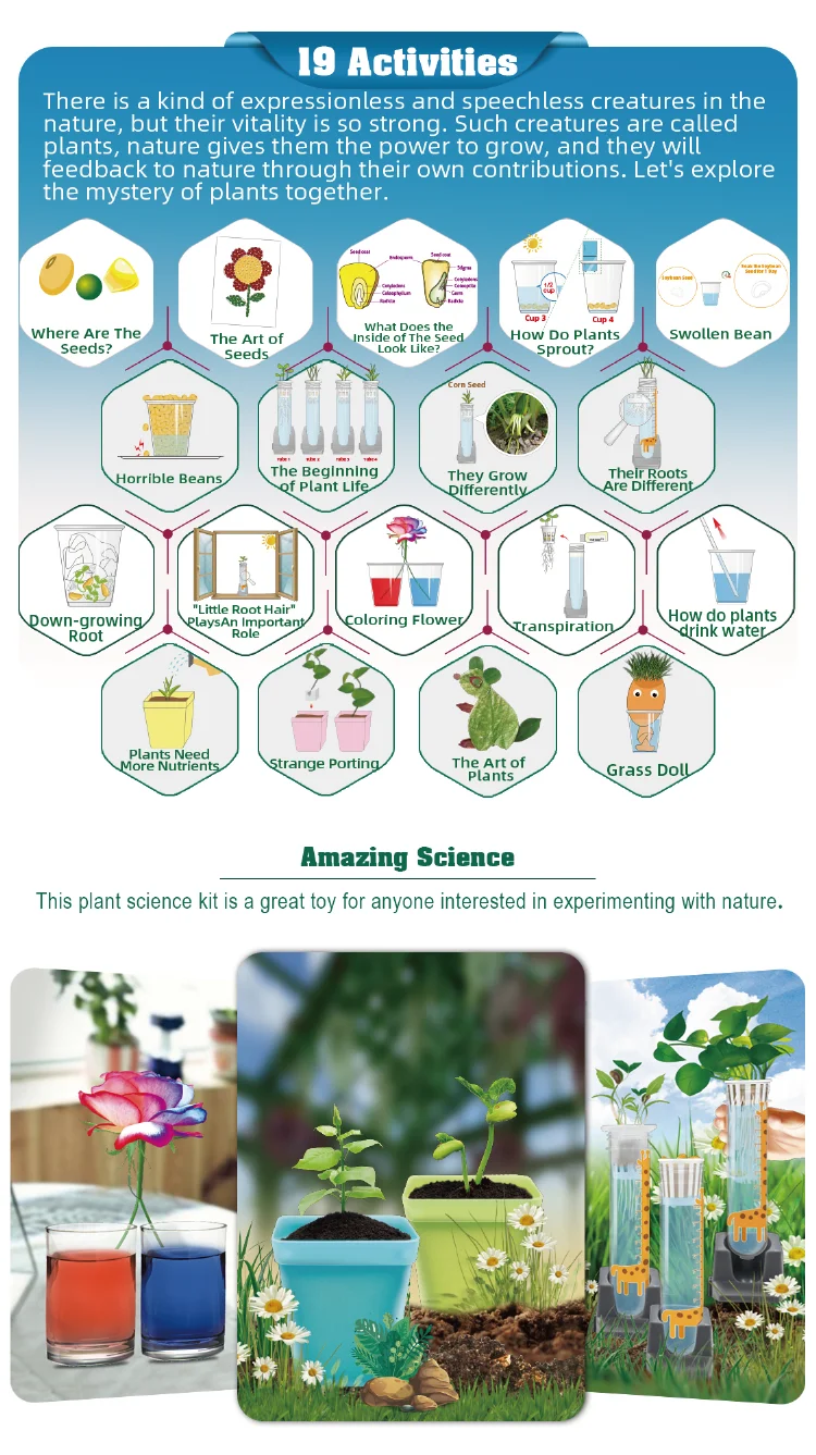 A Comprehensive Collection Educational Science Grow House Planting Kit