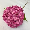 rose pink