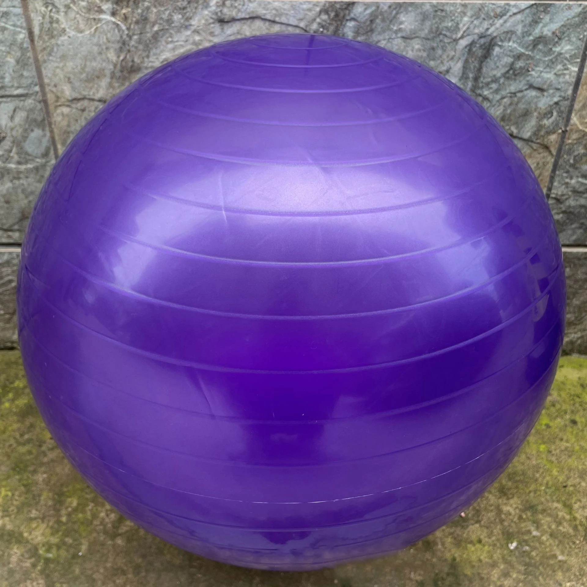 Ballon de Gymnastique Suisse 65 cm Anti Burst Pompe - Violet - Mixte - Sport Ballon de Gymnastique Suisse 65 cm Anti Burst Pompe - Violet - Mixte - Sport