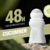 Cucumber