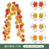 Vigne d'érable - Non.13