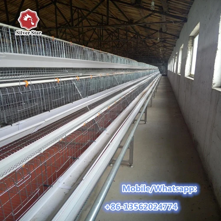 Manufacture Best Price Automatic Egg Collecting Equipment System