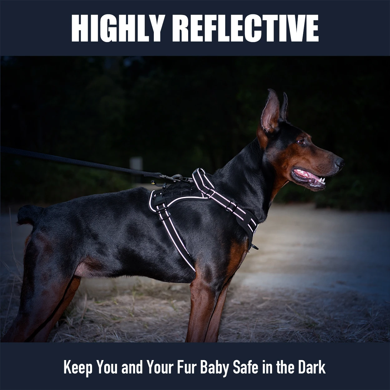 Custom Luxury K9 Oxford Nylon Pockets Dog Harness Tactical Training