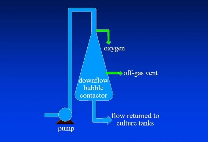 Aeration Ras RAS Indoor Fish Farm Aerator Aquaculture Equipment Oxygen Cones for ...