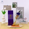 Blue rose with purple box