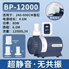 BP-12000