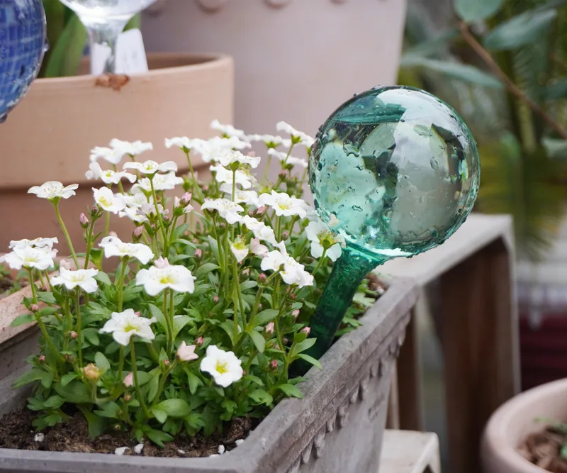Plant Watering Globes Automatic Self Watering Petg Plastic Water Globe