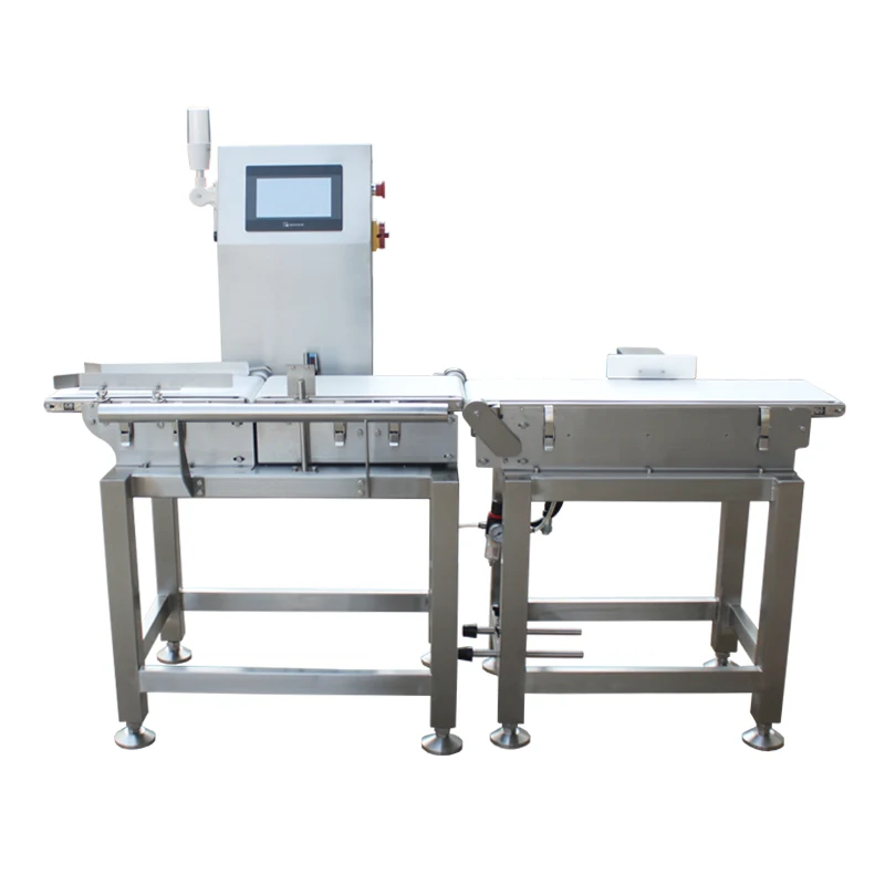 Best 3 conveyor belt scales Manufacturer in Poland