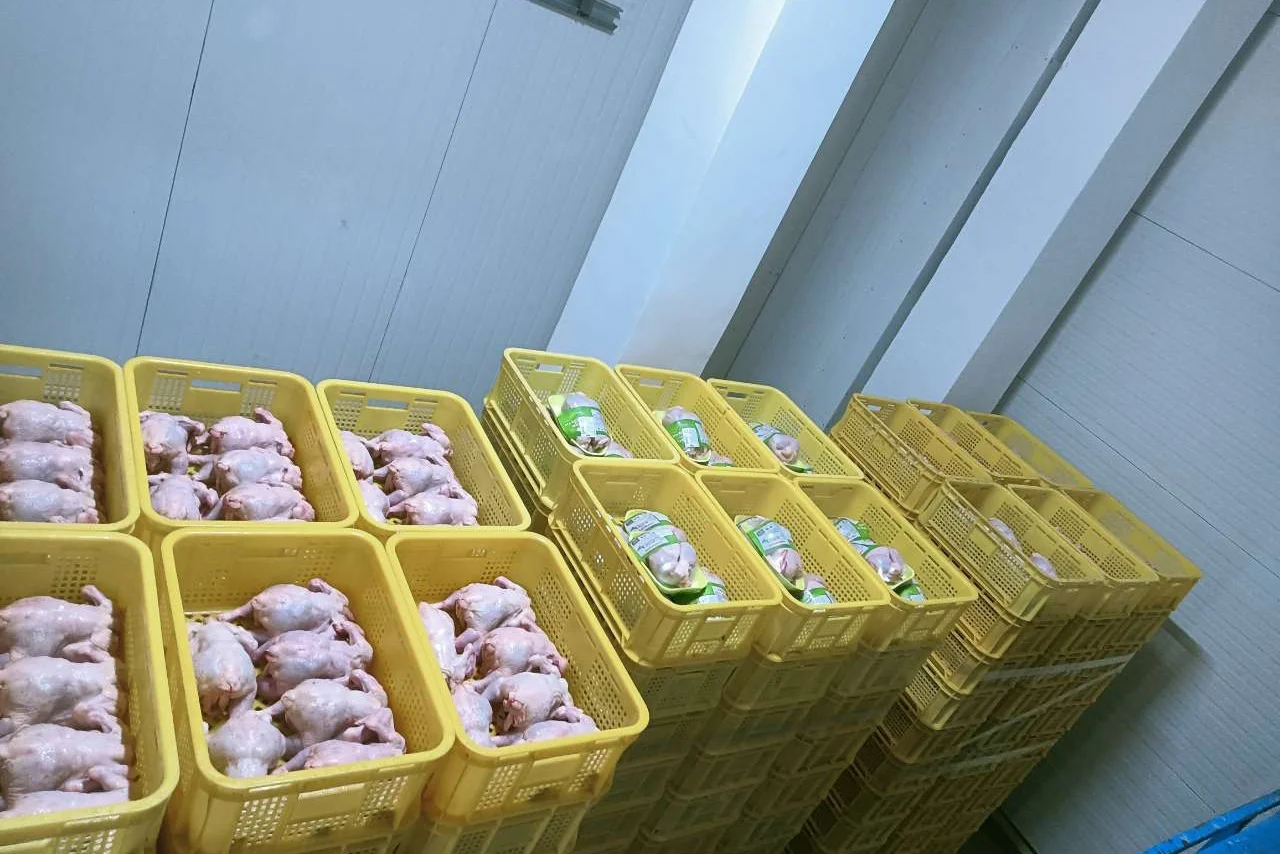 Freezer, R-404 - detail 16