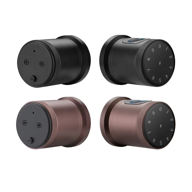 Ttlock App Biometrics Automatic Smart Cerradura Inteligente Puerta Exterior De Seguridad Fingerprint Keyless Room Door Lock
