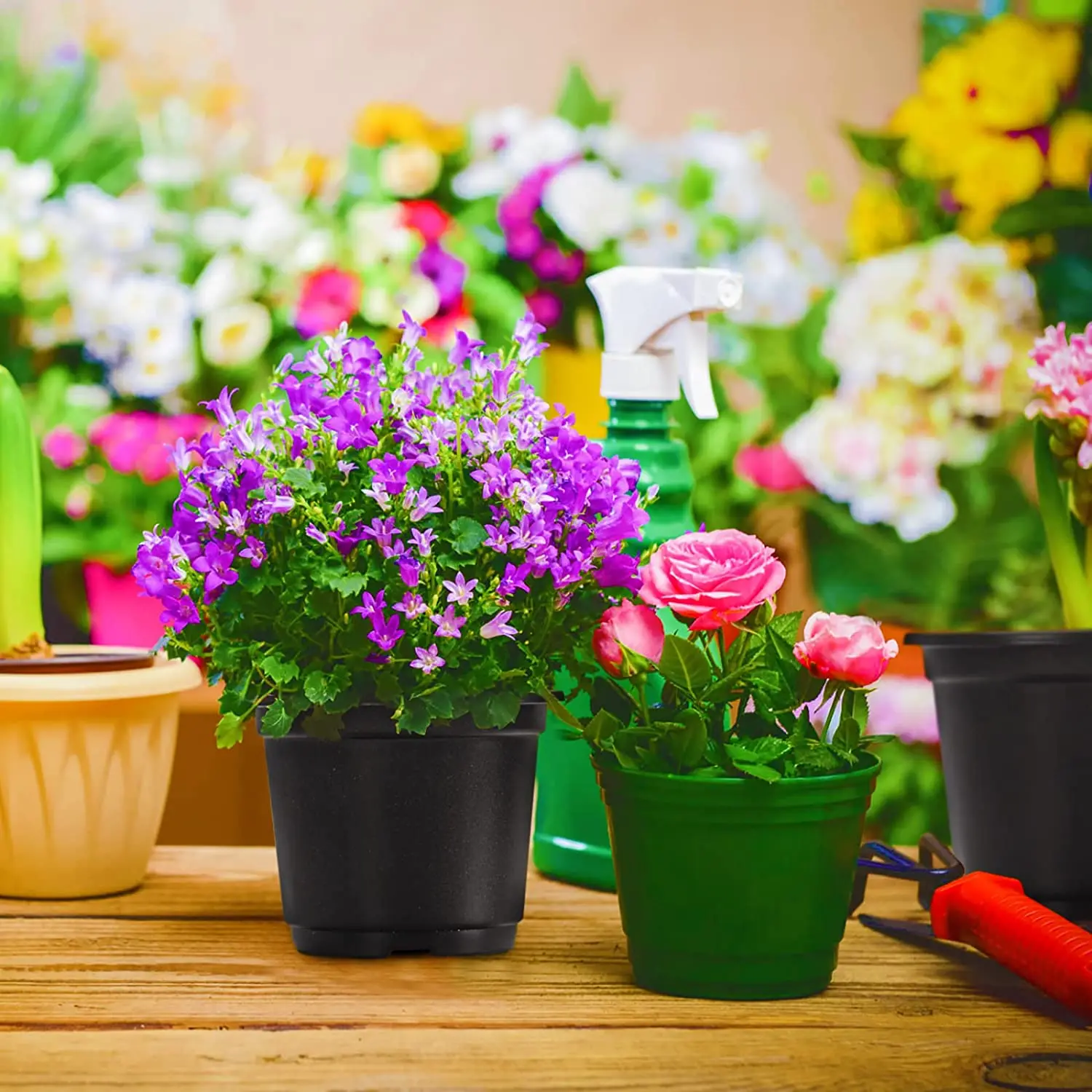Strong Seed Starter Pots With Humidity Dome And Base Plant Growing