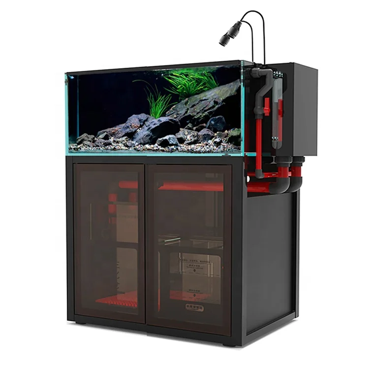 Custom Large ultra clear Glass Turtle Fish Aquarium tank With Flat Roof