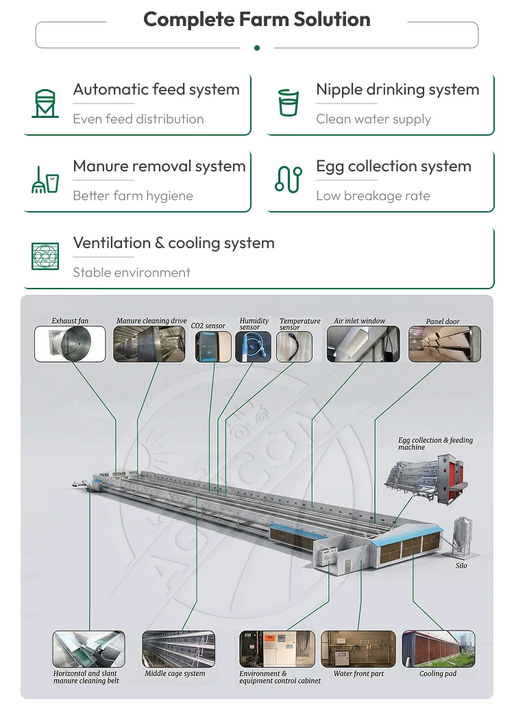H-Frame Automatic Broiler Cage
