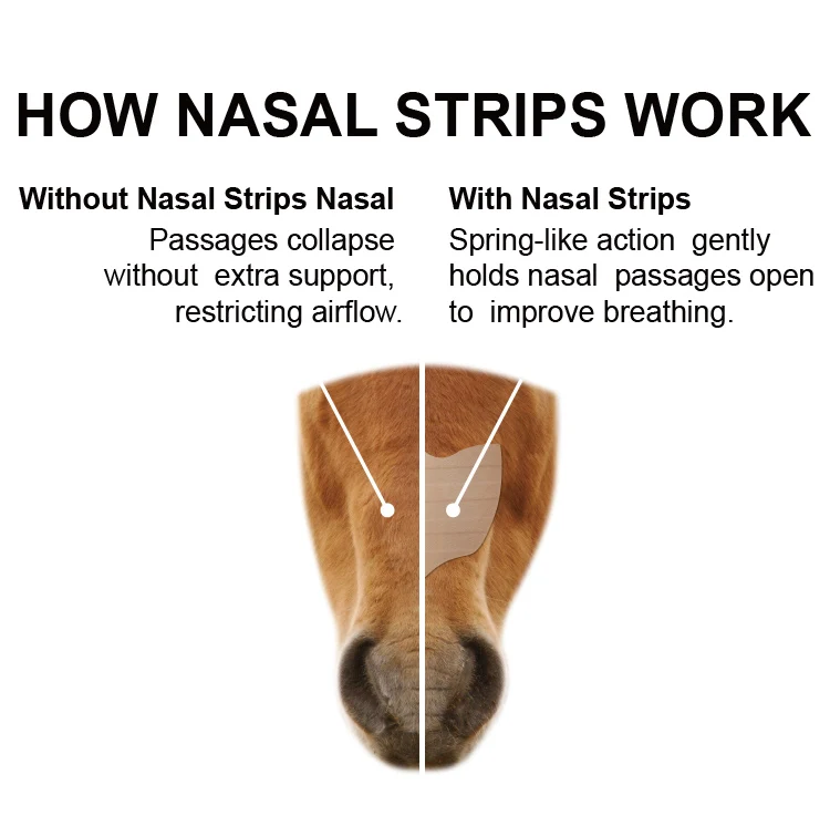 Factory New Product Horse Nasal Strips Adhesive Nose Strips Suitable