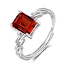 JH0163-5Garnet