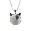 syn.howlite