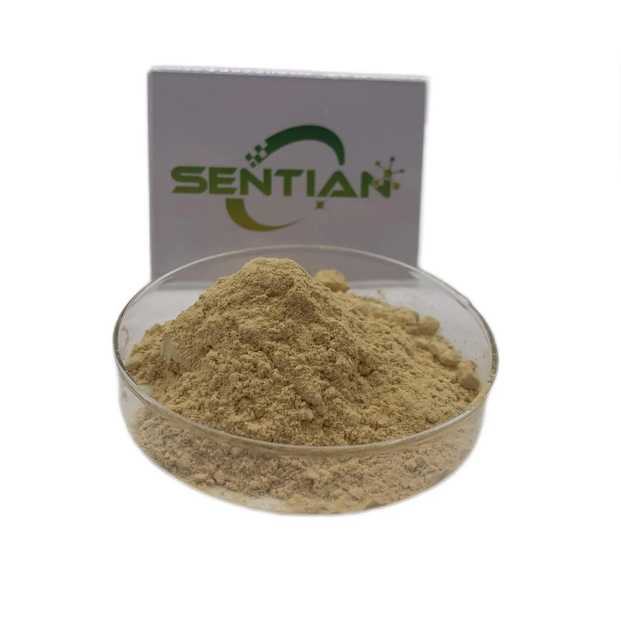 Combretum Quadrangulare Extract Sakae Naa Powder 200:1 Sakae Naa Extract