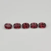 Red Garnet