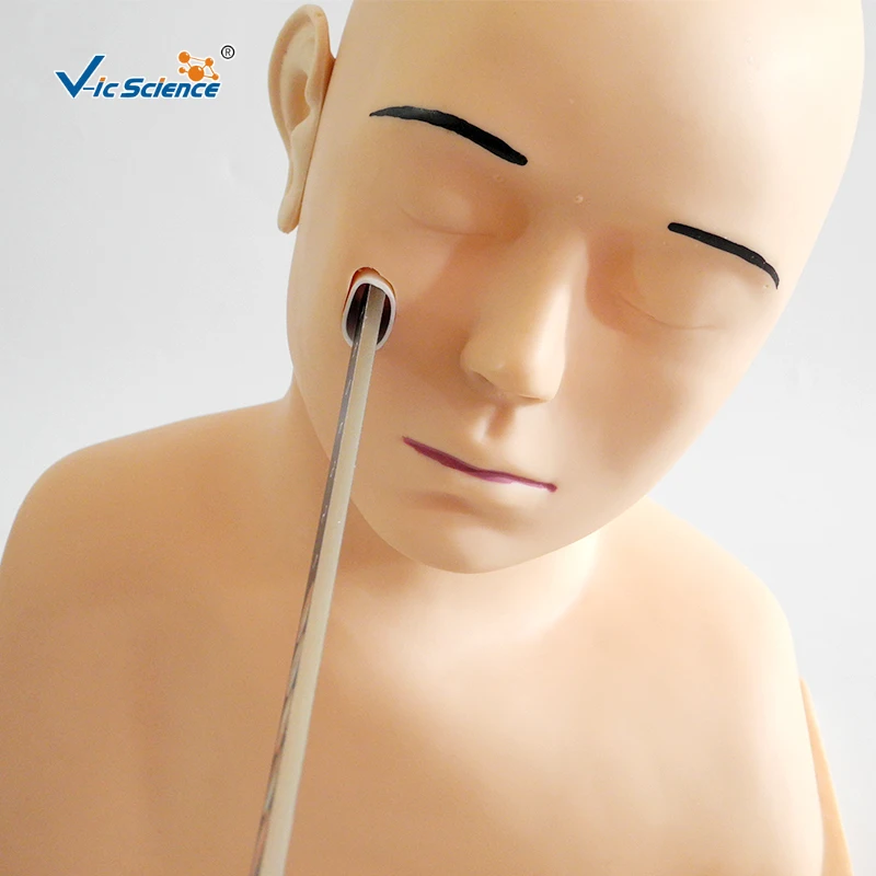 Advanced Ear Diagnostic Clinic  Training Ear Diagnostic Simulator for Medical Teaching