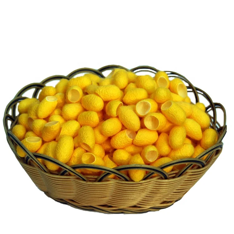 factory sales natural colored cut silkworm cocoon