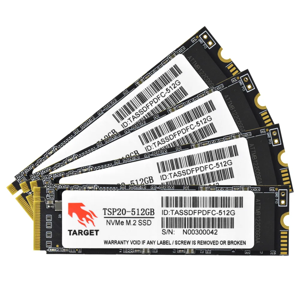 Target M.2 PCIe NVMe SSD: Reliable Internal Storage Options