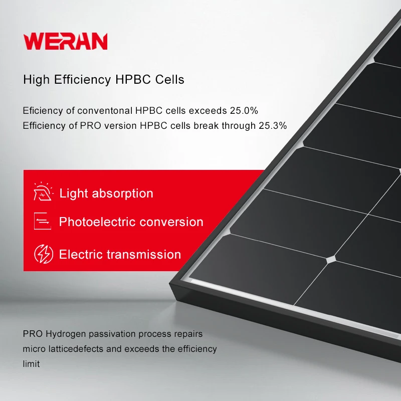 High Quality WERAN Portable Solar Panel Complete Kit Half Cell Roof Solar Cell PV Paneles Solares Para Casa Competitive Price